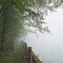 天気予報は曇り時々晴れだったのだが…　起床時に雨。しばらく待ったが雨がヨマワル様子がないので無理やり出発。登山口には車３台ぐらいしか停められない。